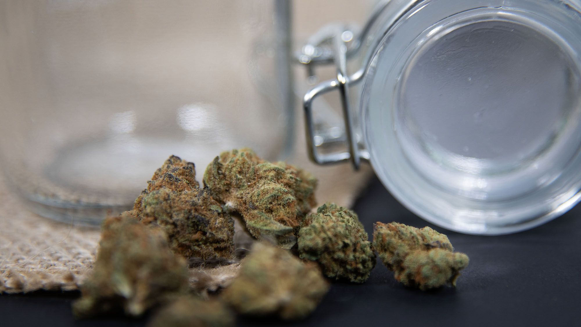 Powering Through Your Training: Cannabis Strains for Martial Artists and Cross Trainers